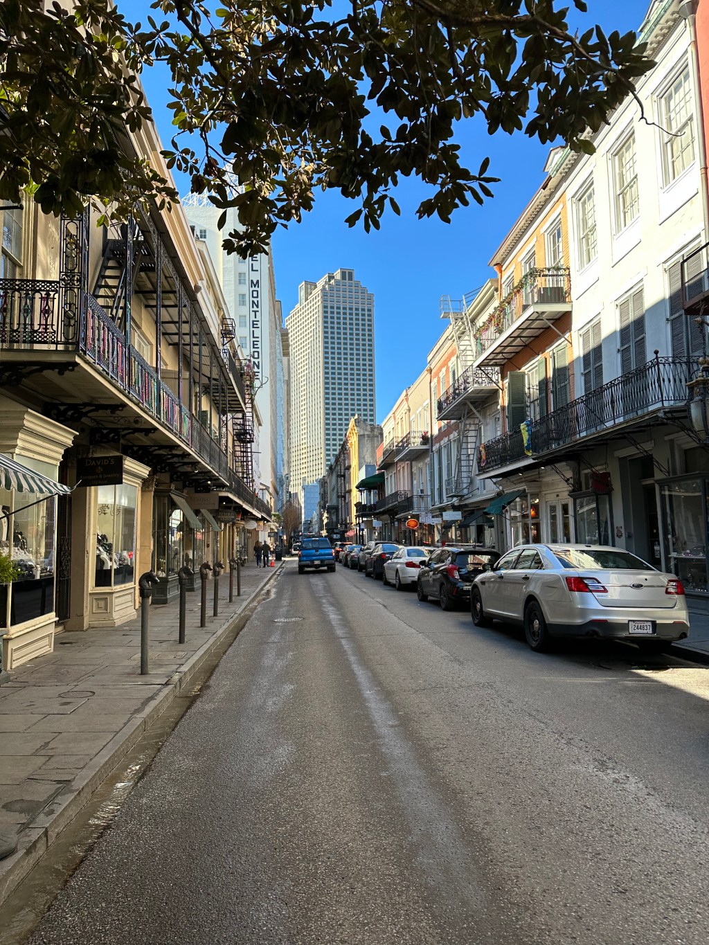 New Orleans (just before Mardi&nbsp;Gras)!